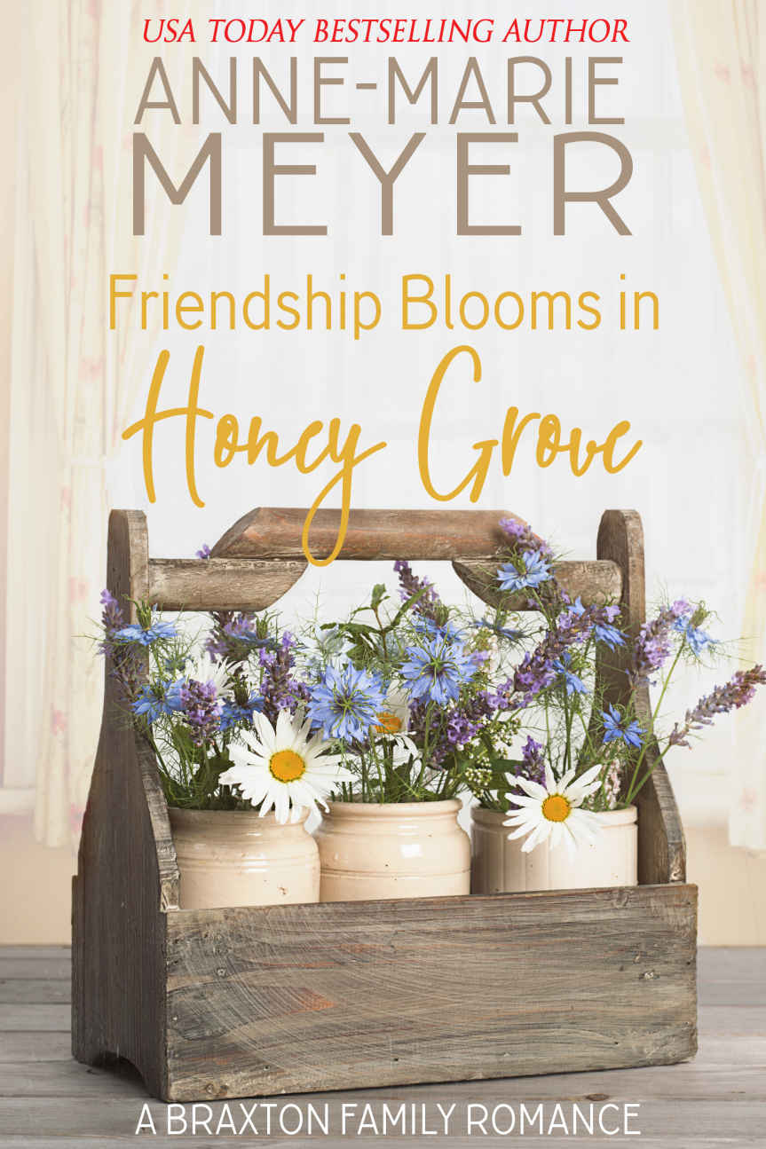 Friendship Blooms in Honey Grove (Braxton Brothers Series Book 2) by Anne-Marie Meyer