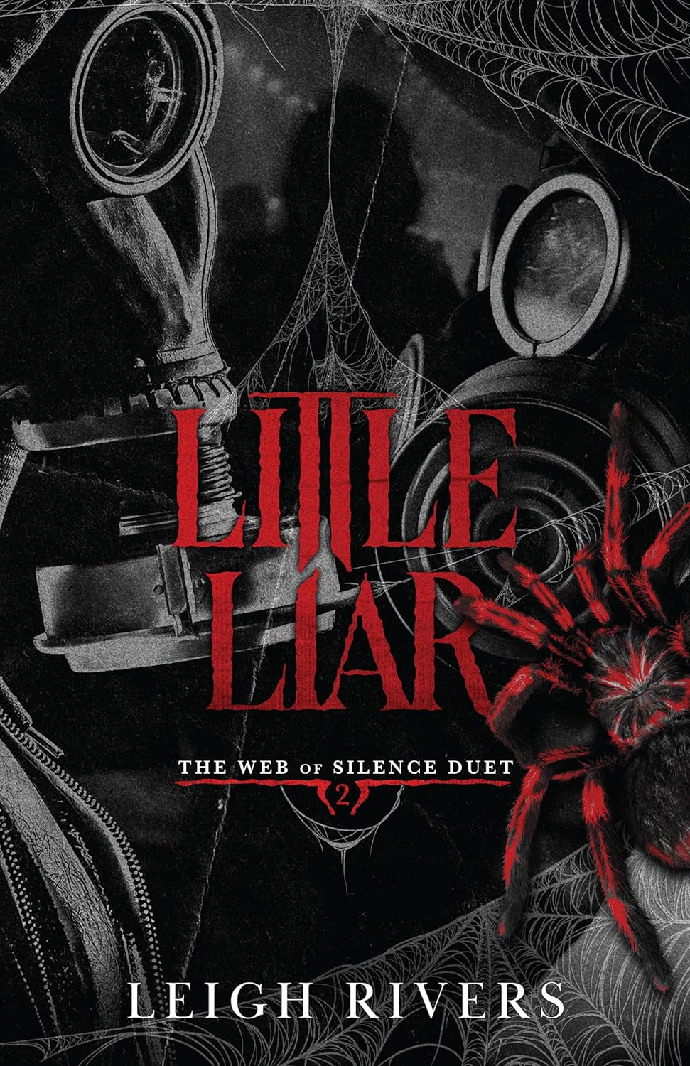 Little Liar (Web of Silence Duet Book 2) by Leigh Rivers